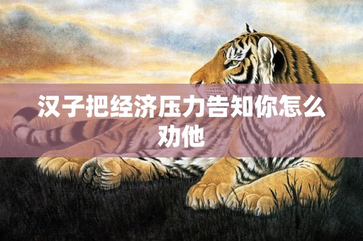 汉子把经济压力告知你怎么劝他