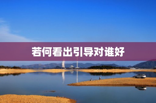 若何看出引导对谁好