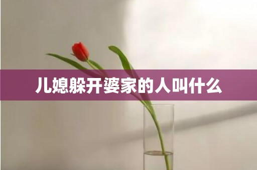 儿媳躲开婆家的人叫什么