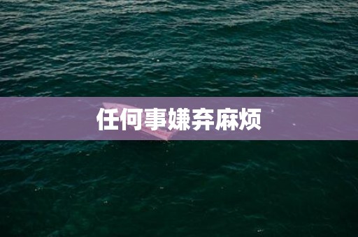 任何事嫌弃麻烦