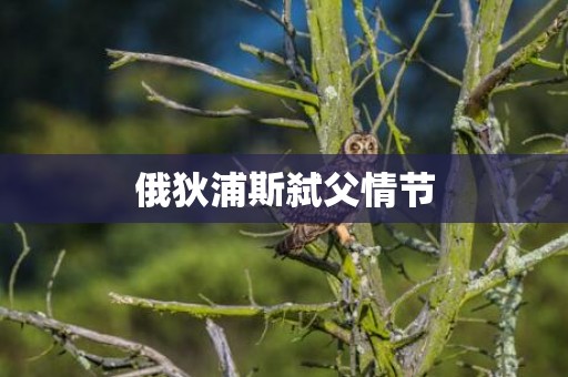 俄狄浦斯弑父情节