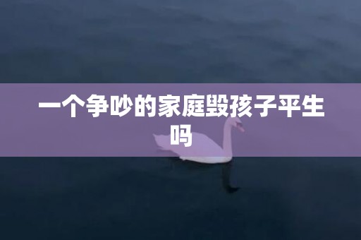一个争吵的家庭毁孩子平生吗