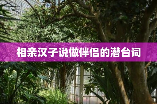 相亲汉子说做伴侣的潜台词