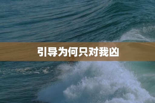 引导为何只对我凶