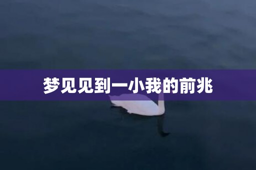 梦见见到一小我的前兆