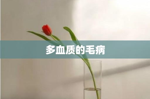 多血质的毛病