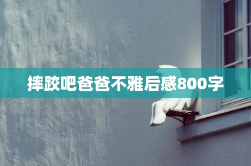 摔跤吧爸爸不雅后感800字