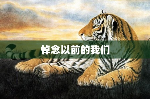 悼念以前的我们
