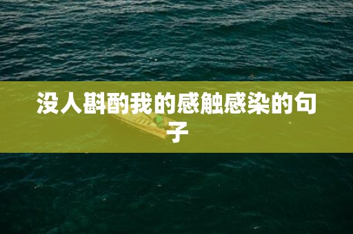 没人斟酌我的感触感染的句子