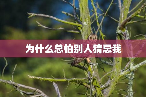 为什么总怕别人猜忌我