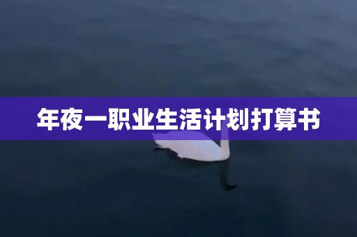 年夜一职业生活计划打算书