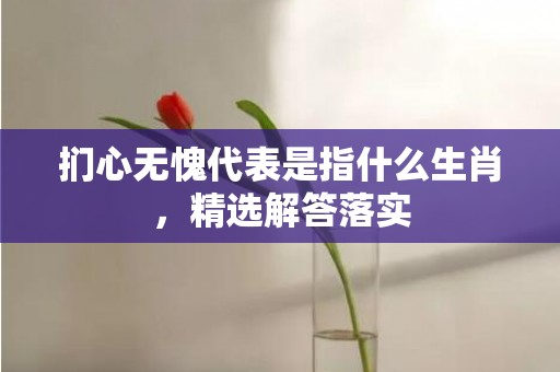 扪心无愧代表是指什么生肖，精选解答落实