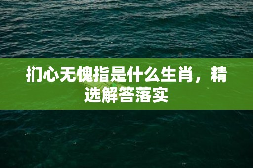 扪心无愧指是什么生肖，精选解答落实
