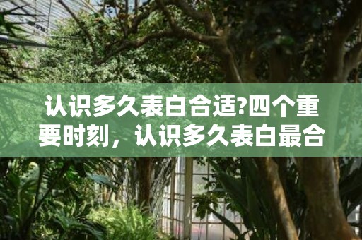 认识多久表白合适?四个重要时刻，认识多久表白最合适呢