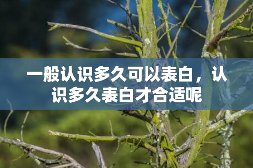 一般认识多久可以表白，认识多久表白才合适呢