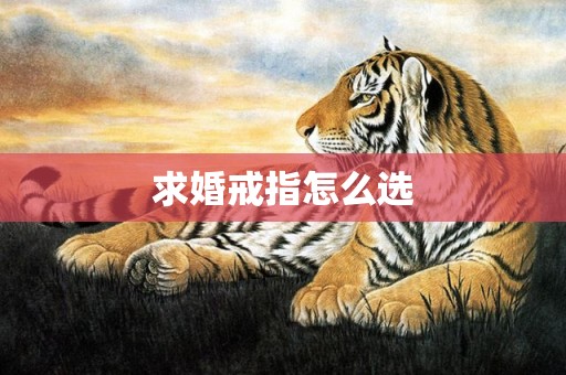 求婚戒指怎么选