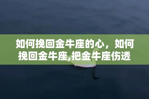 如何挽回金牛座的心，如何挽回金牛座,把金牛座伤透了能挽回吗