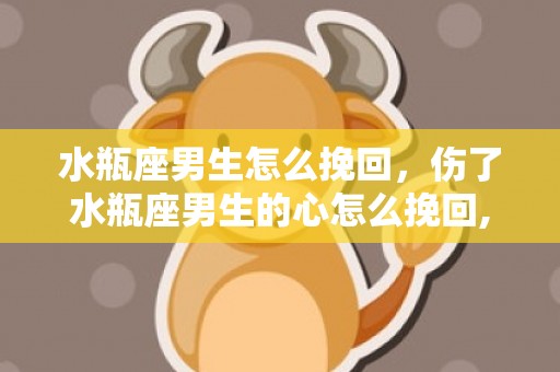 水瓶座男生怎么挽回，伤了水瓶座男生的心怎么挽回,五个方法要掌握