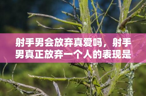 射手男会放弃真爱吗，射手男真正放弃一个人的表现是什么