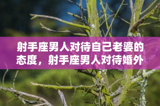 射手座男人对待自己老婆的态度，射手座男人对待婚外情很专一真的吗