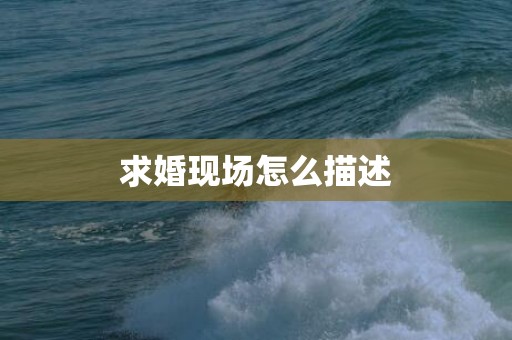 求婚现场怎么描述