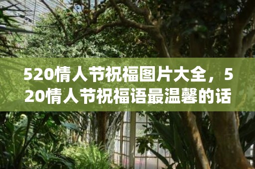 520情人节祝福图片大全，520情人节祝福语最温馨的话(情人节温馨祝福语简短一句话)