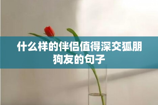 什么样的伴侣值得深交狐朋狗友的句子