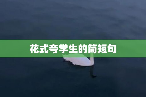 花式夸学生的简短句