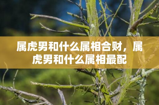 属虎男和什么属相合财，属虎男和什么属相最配