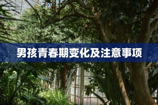 男孩青春期变化及注意事项
