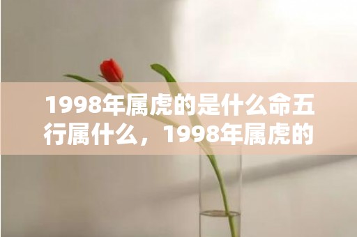 1998年属虎的是什么命五行属什么，1998年属虎的最佳配偶