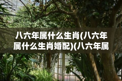 八六年属什么生肖(八六年属什么生肖婚配)(八六年属什么生肖什么命)