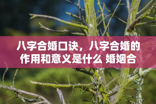 八字合婚口诀，八字合婚的作用和意义是什么 婚姻合八字,合的是哪些方面