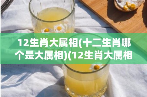 12生肖大属相(十二生肖哪个是大属相)(12生肖大属相什么意思)