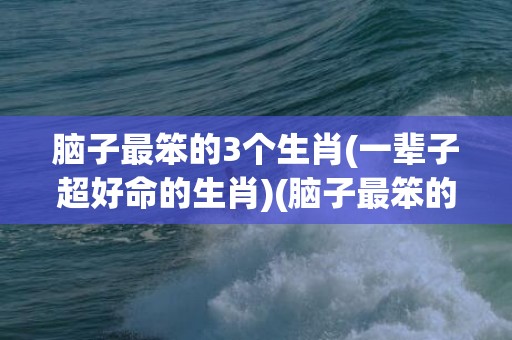 脑子最笨的3个生肖(一辈子超好命的生肖)(脑子最笨的3个生肖女)