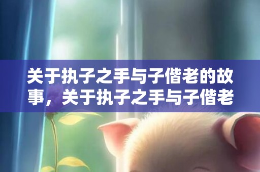 关于执子之手与子偕老的故事，关于执子之手与子偕老的说说？关于执子之手与子偕老的句子