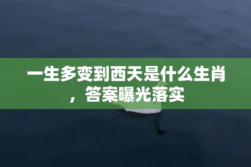 一生多变到西天是什么生肖，答案曝光落实