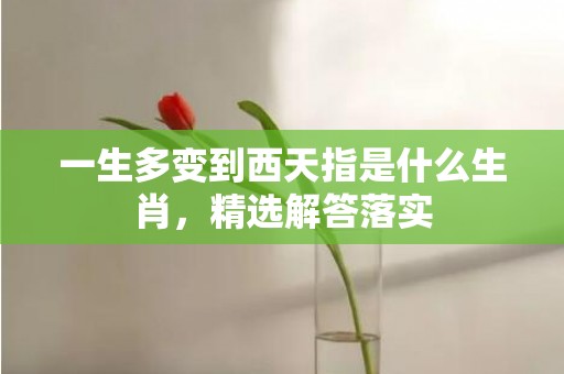 一生多变到西天指是什么生肖，精选解答落实