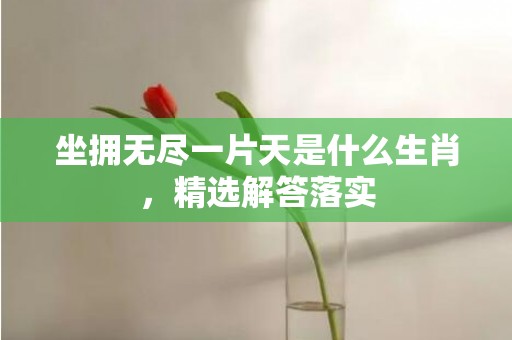 坐拥无尽一片天是什么生肖，精选解答落实