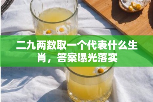 二九两数取一个代表什么生肖，答案曝光落实