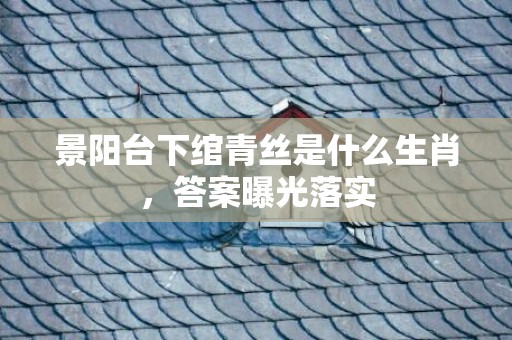 景阳台下绾青丝是什么生肖，答案曝光落实