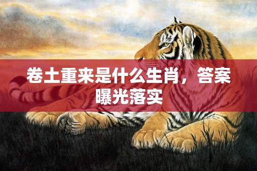 卷土重来是什么生肖，答案曝光落实