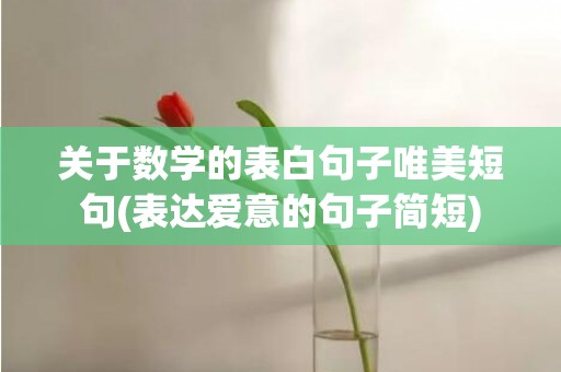 关于数学的表白句子唯美短句(表达爱意的句子简短)
