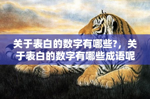 关于表白的数字有哪些?，关于表白的数字有哪些成语呢，表达爱意的数字成语
