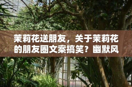 茉莉花送朋友，关于茉莉花的朋友圈文案搞笑？幽默风趣的朋友圈说说