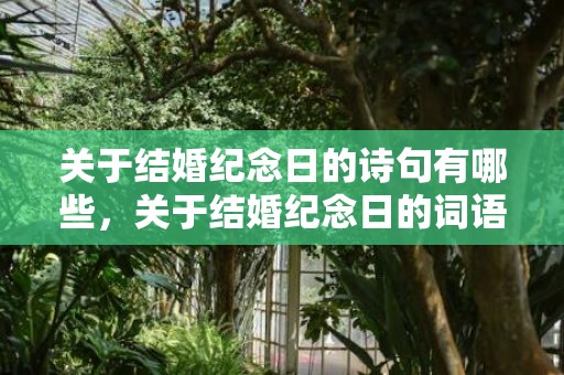 关于结婚纪念日的诗句有哪些，关于结婚纪念日的词语怎么写，创意结婚纪念日祝福语