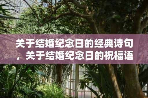 关于结婚纪念日的经典诗句，关于结婚纪念日的祝福语大全 一句话表达结婚纪念日