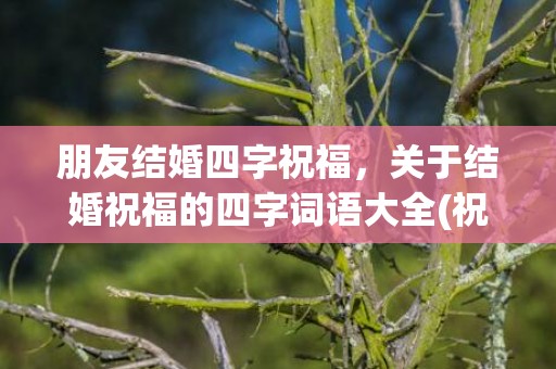 朋友结婚四字祝福，关于结婚祝福的四字词语大全(祝福人的4字成语)