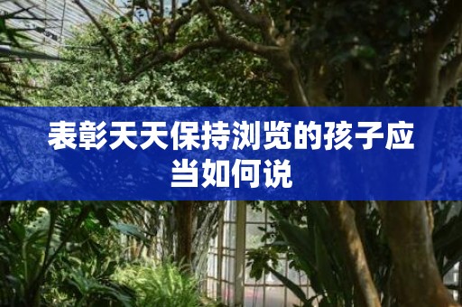 表彰天天保持浏览的孩子应当如何说