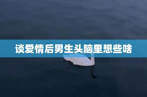 谈爱情后男生头脑里想些啥